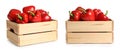 Red bell peppers in wooden crates on background Royalty Free Stock Photo