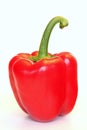 Red bellpepper Royalty Free Stock Photo