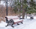 Red bench covered in snow in winter city park. Royalty Free Stock Photo