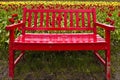 Red Bench with Flowers Royalty Free Stock Photo