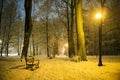 Red bench in the park Royalty Free Stock Photo