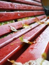 Red bench after rain with yellow autumn leaves Royalty Free Stock Photo
