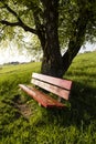 A red bench is standing on a meadow in Switzerland with a tree Royalty Free Stock Photo