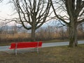 Red bench and tree in a park at the shore of Lake Lucerne Royalty Free Stock Photo