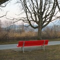 Red bench and tree Royalty Free Stock Photo