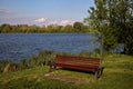 Red bench with a tree by the shore of a lake in spring Royalty Free Stock Photo