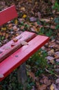 Red bench in the woods, park in autumn Royalty Free Stock Photo