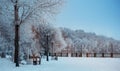 Winter landscape with snow, benches covered with snow among frosty winter trees.