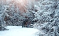 Winter landscape with snow, benches covered with snow among frosty winter trees.