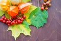 Red berriaes and autumn leaves on old wooden background.Colorful leaves and physalis.Autumn thanksgiving Still Life.Fall