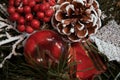 Red berries, apple and branches of a Christmas tree under snow. Christmas ribbon Royalty Free Stock Photo