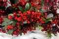 Red berries as background for hollidays