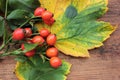 Red berries and autumn leaves on wooden background. Flat lay composition with yellow maple leaves and rosehip berries