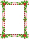 Red berries christmas border