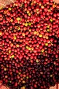 red berries coffee beans in basket top view Royalty Free Stock Photo