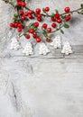 Red berries (cotoneaster horizontalis) on the table