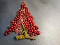 Red berries on Xmas tree with lichen