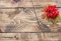 Red berries of fresh viburnum with leaves on a wooden background. Copy space.