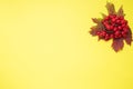 Red berries of fresh viburnum with leaves on a yellow background. Copy space.