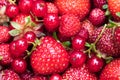 Red berries full frame fruit background texture