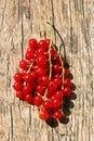 Red berries