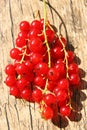 Red berries