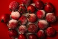 Red berries of hawthorn frosted, on a plate Royalty Free Stock Photo