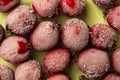 Red berries of hawthorn frosted, on a plate Royalty Free Stock Photo