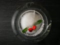 Red Berries with ice and black Background