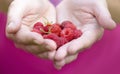 Red berries lie on the palms of women`s hands, folded in the shape of a heart