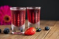 Red berries liqueur in shot glass isolated on black background and wooden table. Homemade alcohol drink concept. Royalty Free Stock Photo