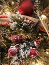 Red berries, pine cones, red ornaments, and lights on Christmas tree Royalty Free Stock Photo