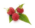 Red berries raspberries