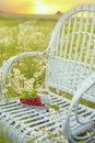 red berries of red currant and raspberry and a cup of tea on a wicker white chair among a field with daisies on a summer evening. Royalty Free Stock Photo