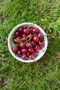 Red berries ripe cherries lie on green the grass