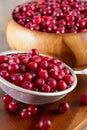 Red berries in strainer