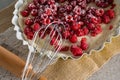 Red berries on tart with whisker Royalty Free Stock Photo
