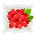 Red berries of viburnum in a plate vector icon flat isolated