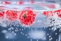 Red berries in water with bubbles Royalty Free Stock Photo