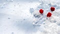 Red berries on white snow, frozen foods, winter, cold