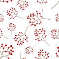 Red Berry Christmas on White Background. Vector Illustration Royalty Free Stock Photo