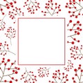 Red Berry Christmas on White Banner Card. Vector Illustration