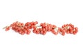 Red berry closeup. North America Buffaloberry or Shepherdia canadensis Royalty Free Stock Photo