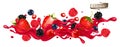 Red berry juice splash wave. Whole and sliced strawberry, raspberry, cherry, blueberry and blackberry Royalty Free Stock Photo