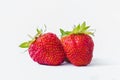 Red berry juicy ripe strawberry isolated on a white fabric background Royalty Free Stock Photo