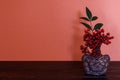 Red berry and leaf in the vase on the orange wall background Royalty Free Stock Photo