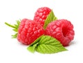 Red berry raspberry isolated