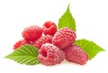 Red berry raspberry