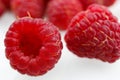 Red raspberry on a white background Royalty Free Stock Photo