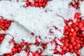 Red berry on a snow-ice surface, seamless texture Royalty Free Stock Photo